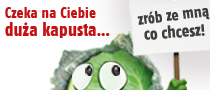 Nie zwlekaj! Tylko do 12.09 gotówka na superprocent!