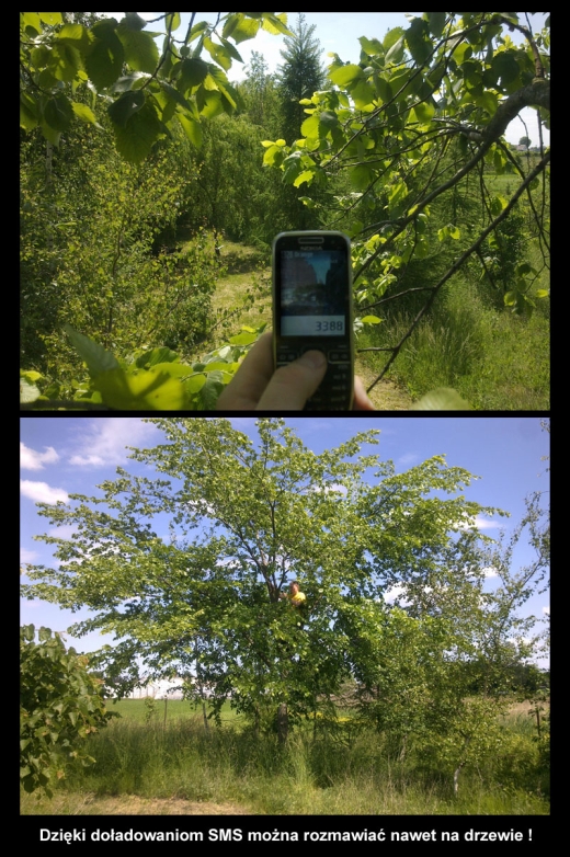 Rozstrzygnięcie V etapu - doładuj telefon w sieci Orange i wygraj iPada 2!